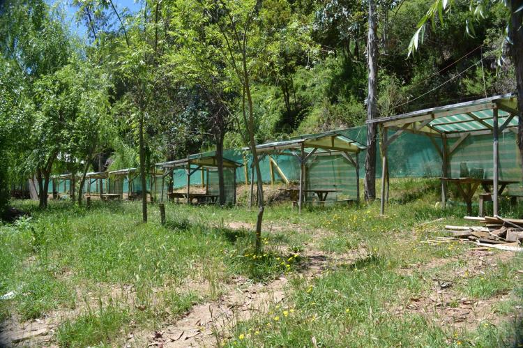 Fotografía 8 de Camping Las Corrientes en Santa Juana, Bio Bio