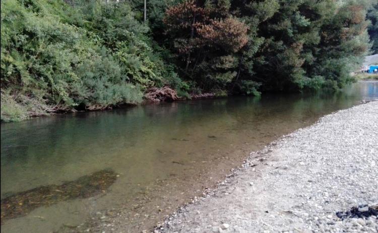 Fotografía 5 de Camping y Cabañas Don Rafael en Arauco, Bio Bio