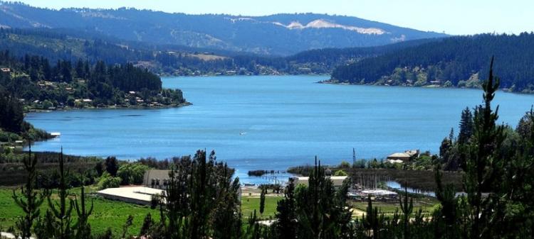 Fotografía 12 de Camping El Sauce De Culenmapu Vichuquen en Vichuquen, Maule