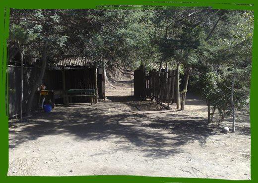 Fotografía 5 de Camping El Sauce De Culenmapu Vichuquen en Vichuquen, Maule
