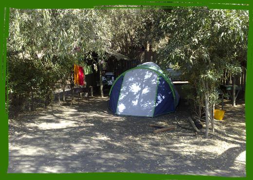 Fotografía 7 de Camping El Sauce De Culenmapu Vichuquen en Vichuquen, Maule