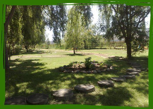 Fotografía 9 de Camping El Sauce De Culenmapu Vichuquen en Vichuquen, Maule