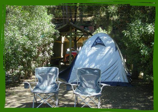 Fotografía 13 de Camping El Sauce De Culenmapu Vichuquen en Vichuquen, Maule