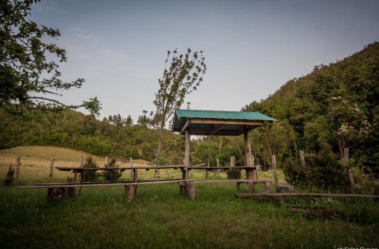 Fotografía 4 de Camping Entre Rios en Dalcahue, Los Lagos