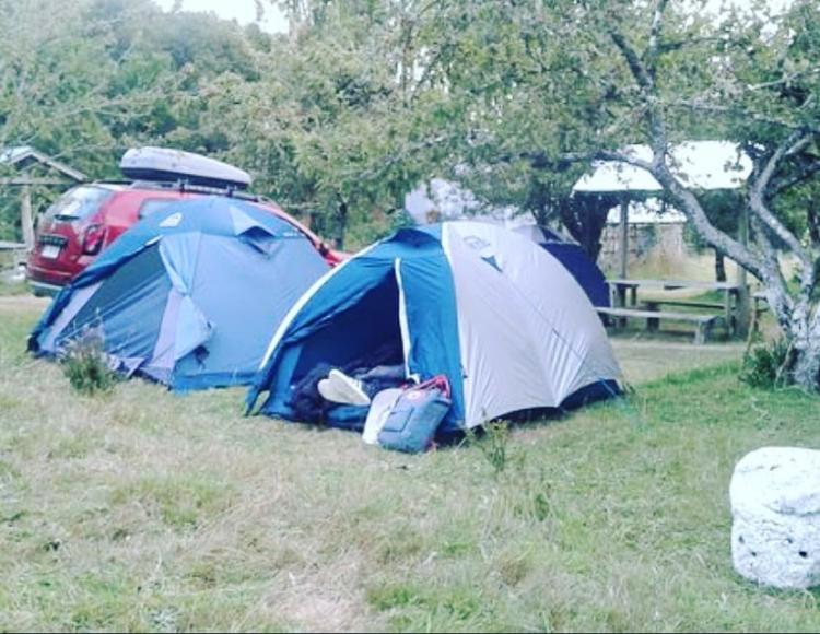 Fotografía 7 de Camping Entre Rios en Dalcahue, Los Lagos
