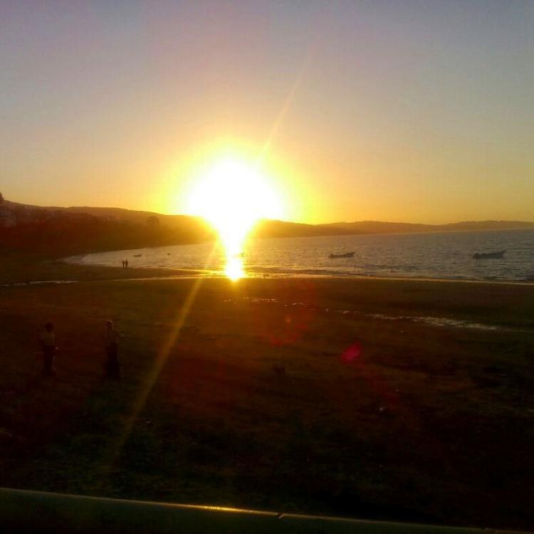 Fotografía 4 de Saldivia Camping en Ancud, Los Lagos