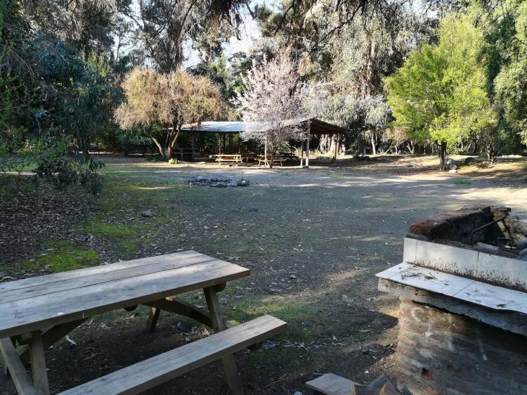 Fotografía 3 de Camping La Isla (Fundo El Toyo) en Cajon del Maipo, Metropolitana