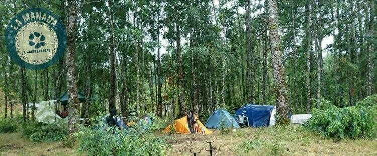 Fotografía 3 de La Manada Camping en Panguipulli, Los Rios