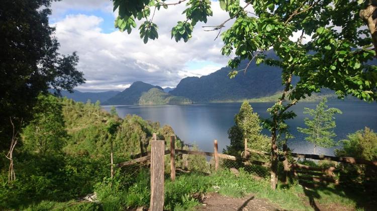 Fotografía 5 de La Manada Camping en Panguipulli, Los Rios