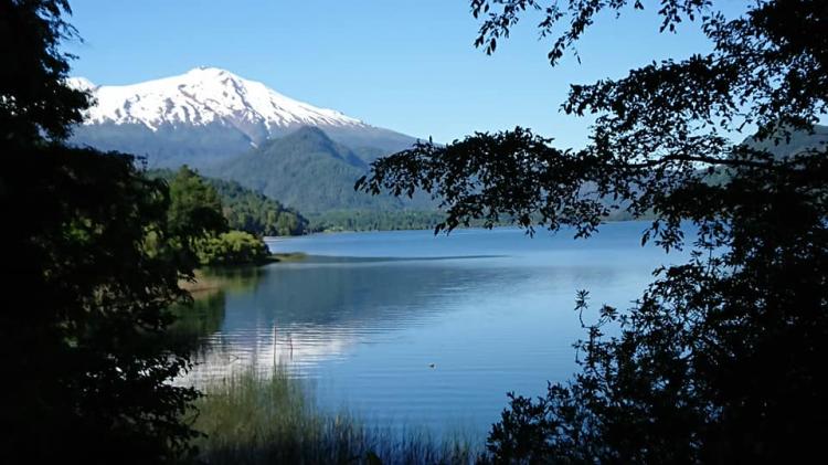 Fotografía 12 de La Manada Camping en Panguipulli, Los Rios