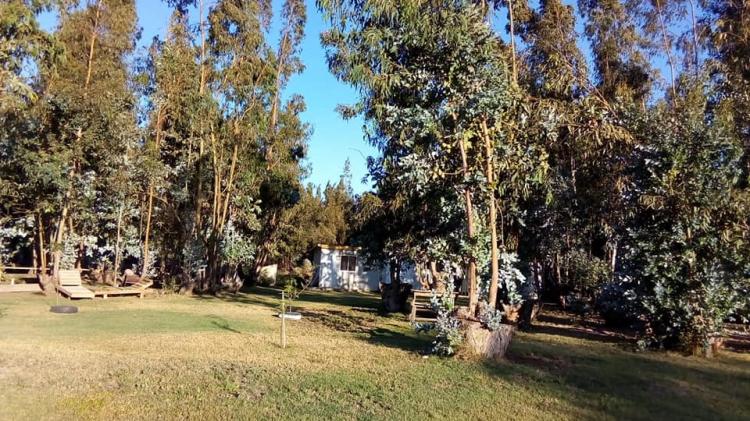 Fotografía 3 de Agro camping Don Pascual en Hijuelas, Valparaiso