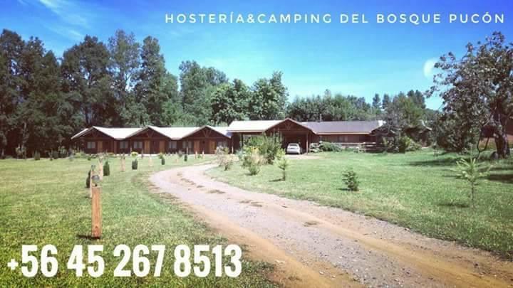 Fotografía 8 de Hosteria y Camping del Bosque Pucón en Pucon, Araucania