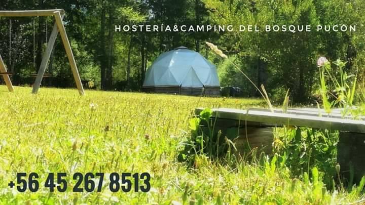 Fotografía 12 de Hosteria y Camping del Bosque Pucón en Pucon, Araucania