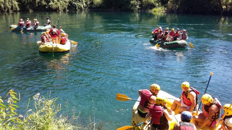 Fotografía 2 de Camping Ayelen Pucon en Pucon, Araucania