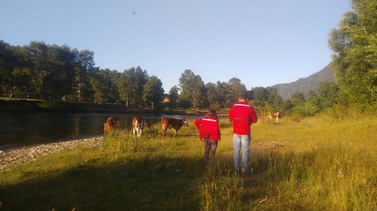 Fotografía 10 de Camping Ayelen Pucon en Pucon, Araucania