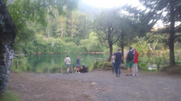 Fotografía 9 de Camping Ayelen Pucon en Pucon, Araucania