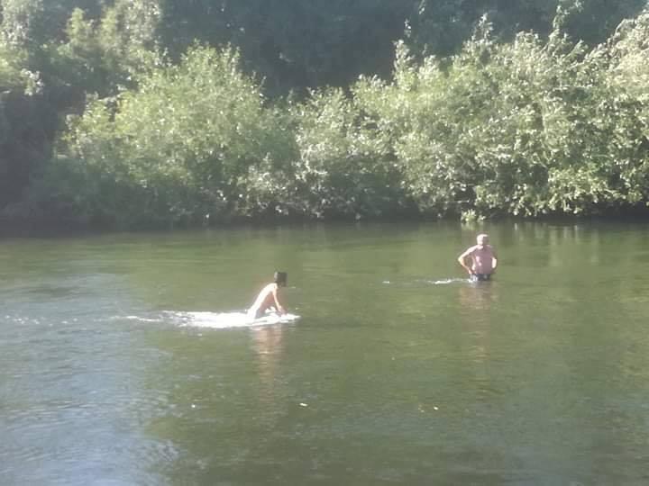 Fotografía 4 de Camping Hans en Pucon, Araucania