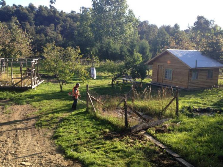 Fotografía 2 de Camping, Cabañas y Restaurante Epuleufu en Panguipulli, Los Rios