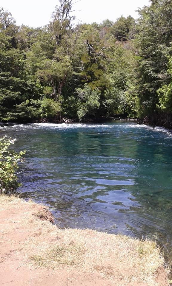 Fotografía 5 de Camping, Cabañas y Restaurante Epuleufu en Panguipulli, Los Rios