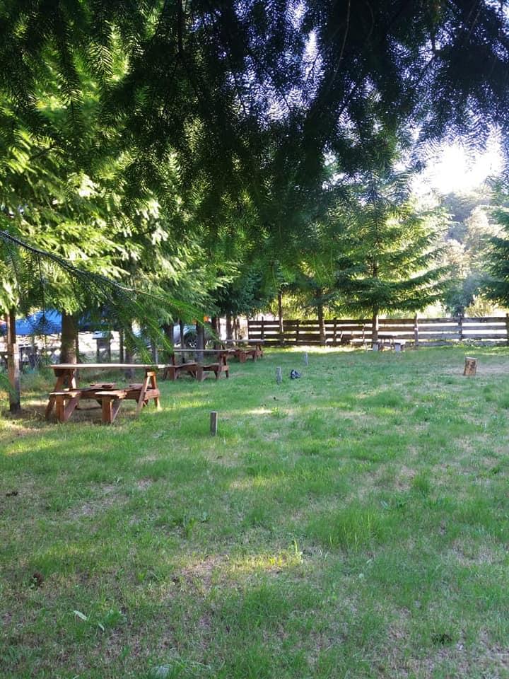 Fotografía 11 de Camping, Cabañas y Restaurante Epuleufu en Panguipulli, Los Rios