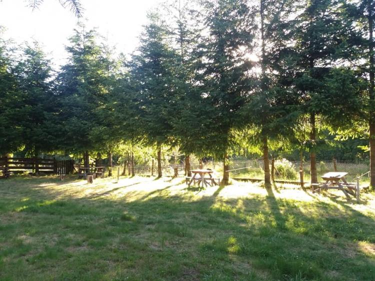 Fotografía 9 de Camping, Cabañas y Restaurante Epuleufu en Panguipulli, Los Rios