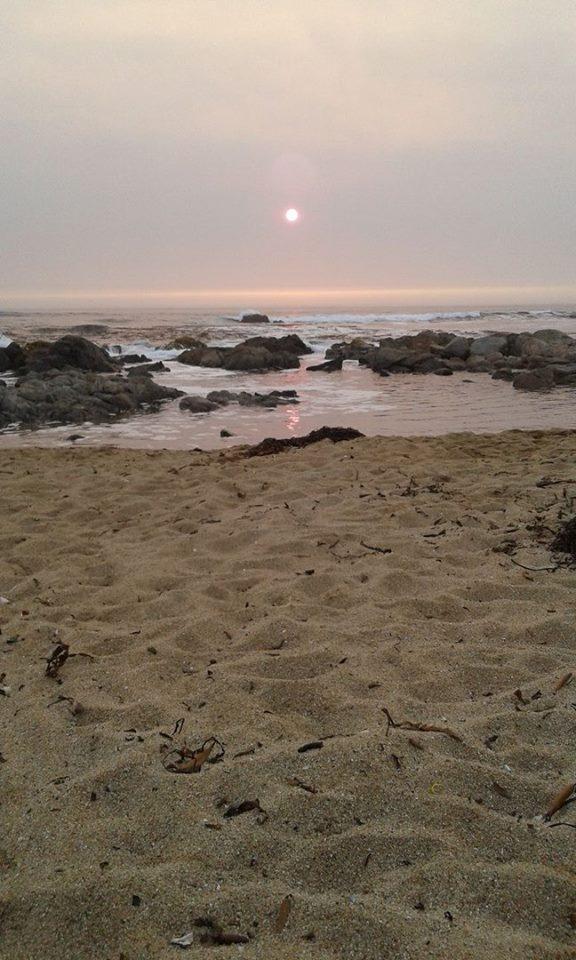 Fotografía 2 de Camping La Corsaria en El Tabo, Valparaiso