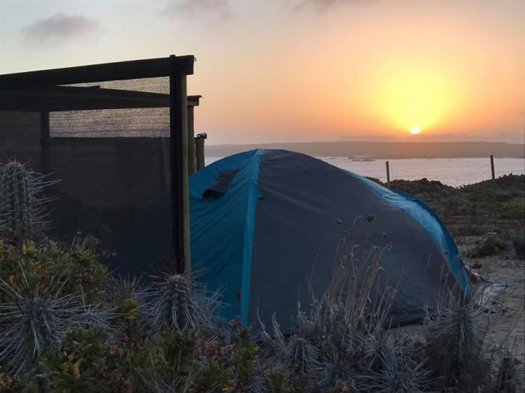 Fotografía 4 de Camping Punta Lodge en La Higuera, Coquimbo