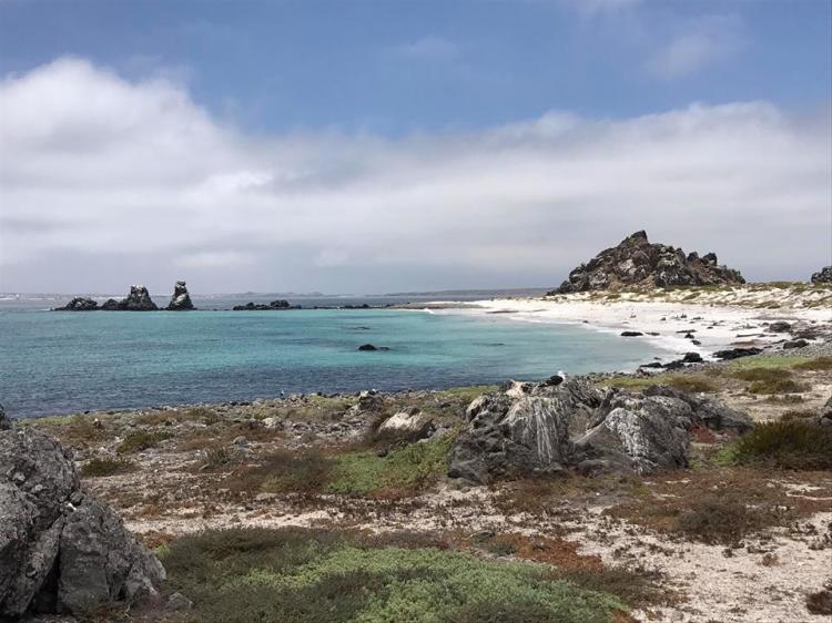 Fotografía 6 de Camping Punta Lodge en La Higuera, Coquimbo