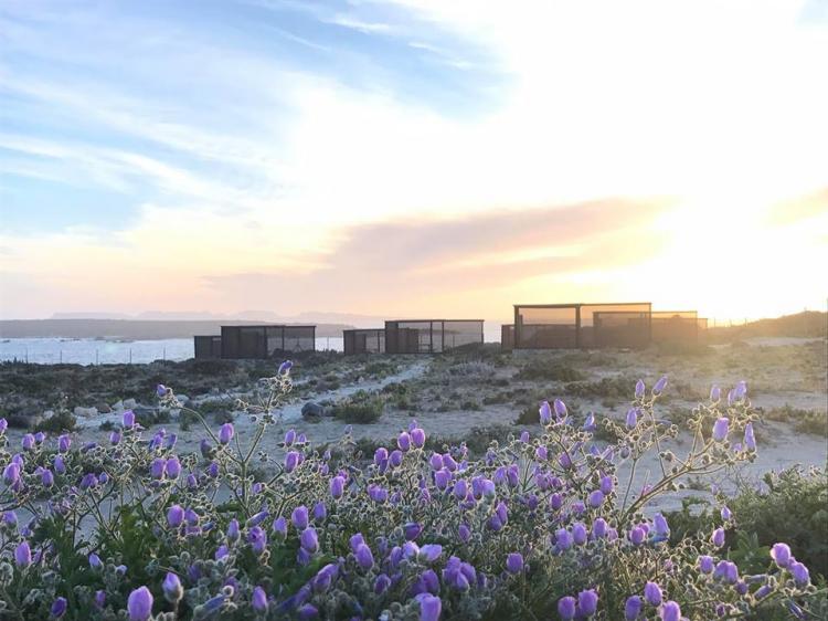Fotografía 7 de Camping Punta Lodge en La Higuera, Coquimbo