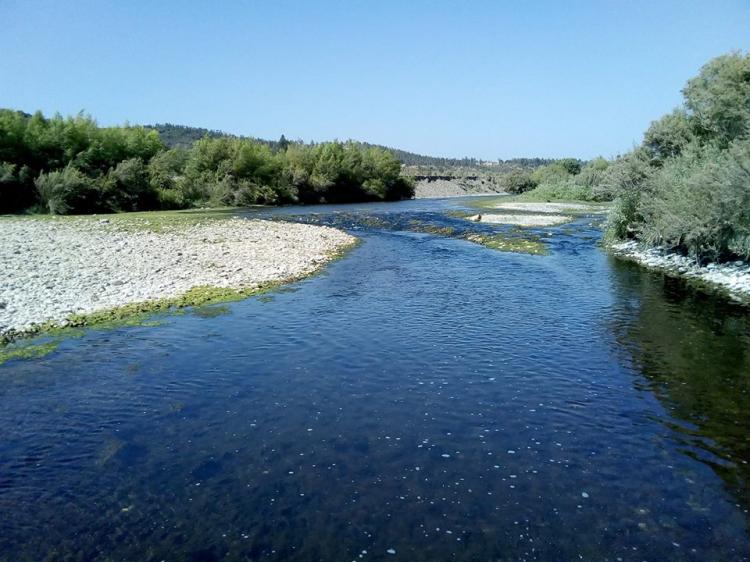 Fotografía 12 de Camping Rio Encantado en Quillota, Valparaiso