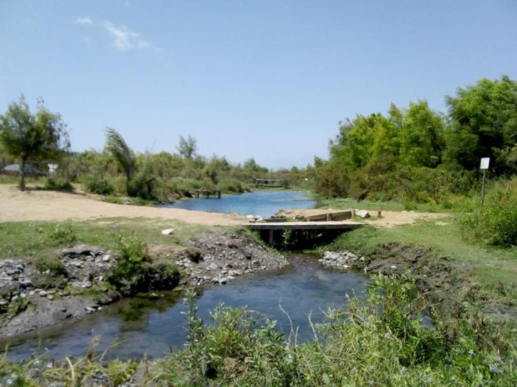 Fotografía 13 de Camping Rio Encantado en Quillota, Valparaiso