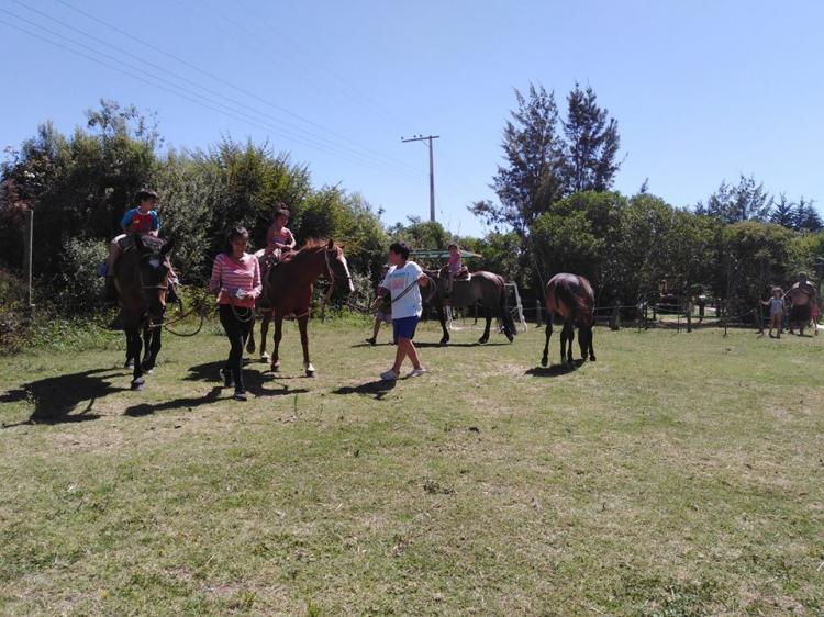 Fotografía 16 de Camping Rio Encantado en Quillota, Valparaiso
