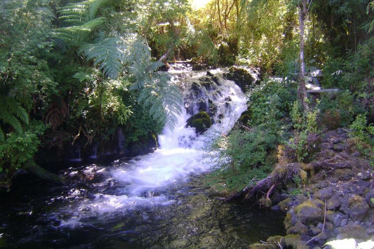 Fotografía 2 de Turismo Trayenco en Hualaihue, Los Lagos