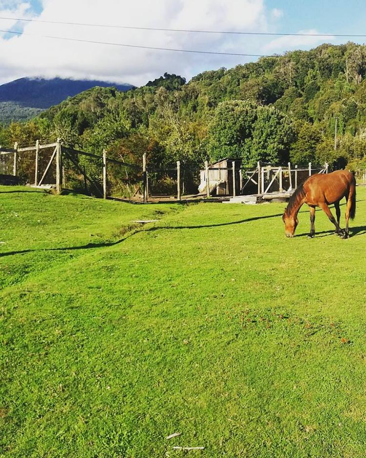 Fotografía 9 de Turismo Trayenco en Hualaihue, Los Lagos