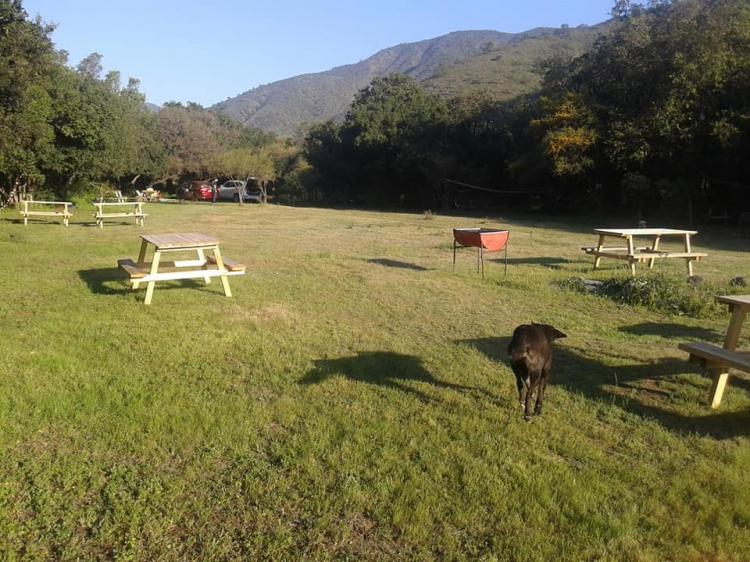 Fotografía 3 de Camping Donde el Profe en Quillota, Valparaiso
