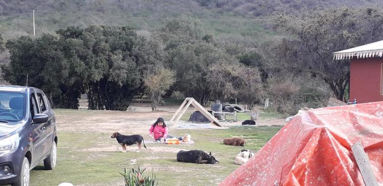 Fotografía 10 de Camping Donde el Profe en Quillota, Valparaiso