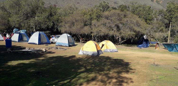 Fotografía 7 de Camping Donde el Profe en Quillota, Valparaiso