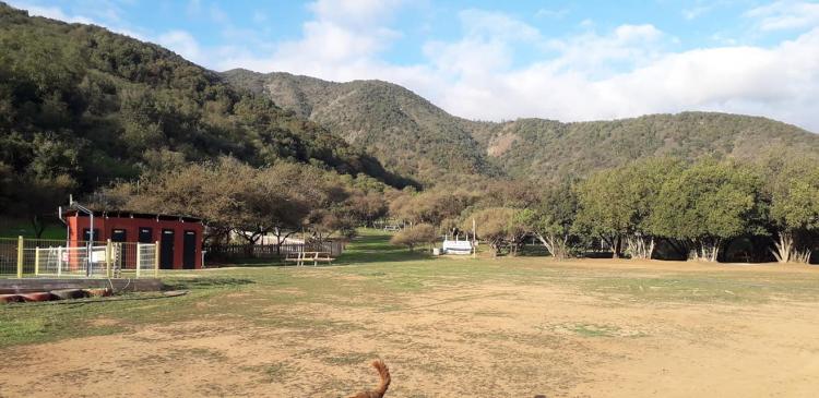 Fotografía 8 de Camping Donde el Profe en Quillota, Valparaiso