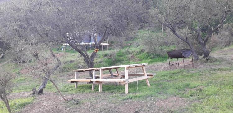 Fotografía 11 de Camping Donde el Profe en Quillota, Valparaiso