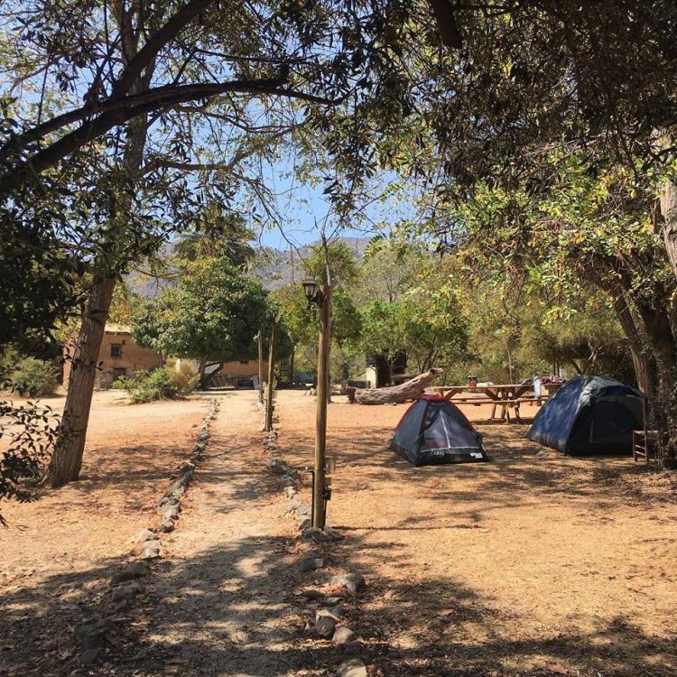 Fotografía 10 de Camping MonteLuna en Olmue, Valparaiso