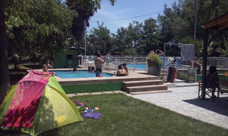 Fotografía 7 de Parcela Tio Pepe en Isla De Maipo, Metropolitana
