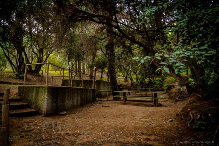 Fotografía 7 de Camping Recarga Natural en Olmue, Valparaiso