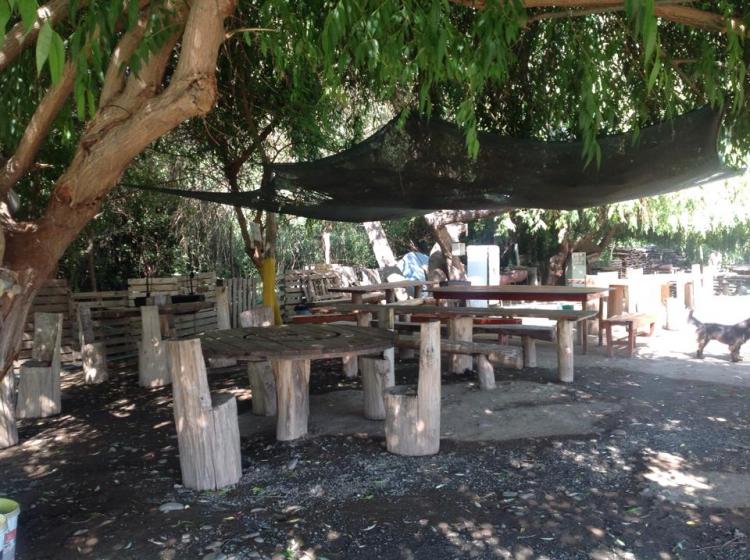 Fotografía 4 de Camping Las Calabazas en San Felipe, Valparaiso