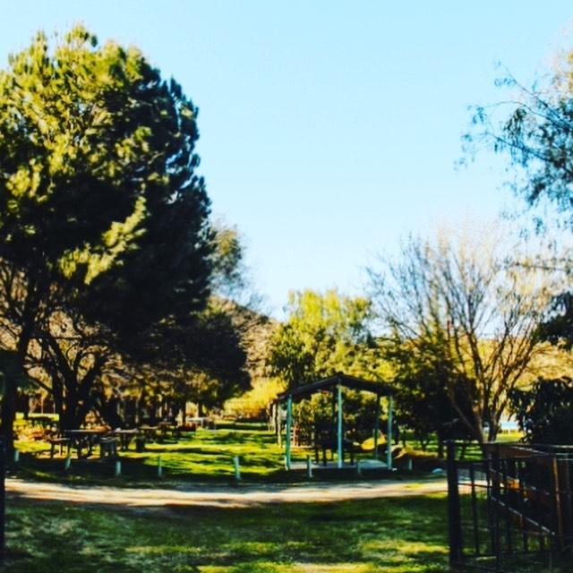 Fotografía 8 de Los Algarrobos Piscinas Centro de Eventos en San Felipe, Valparaiso