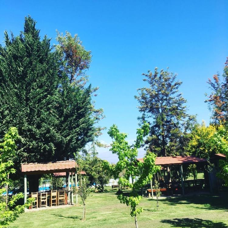 Fotografía 10 de Los Algarrobos Piscinas Centro de Eventos en San Felipe, Valparaiso