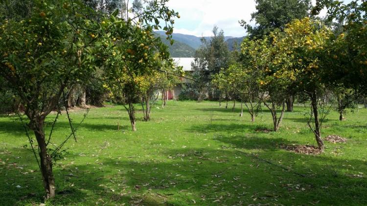 Fotografía 6 de Agro Camping don Antonio en Limache, Valparaiso