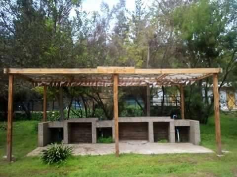 Fotografía 20 de Agro Camping don Antonio en Limache, Valparaiso