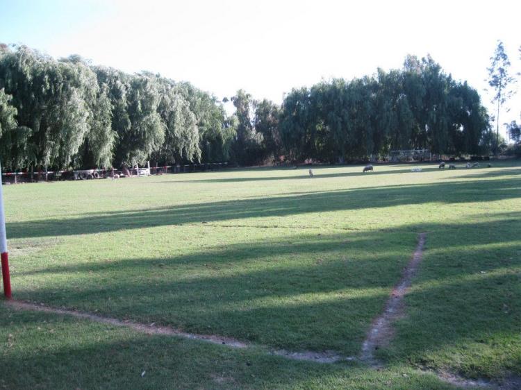 Fotografía 6 de Camping Curucho en El Monte, Metropolitana
