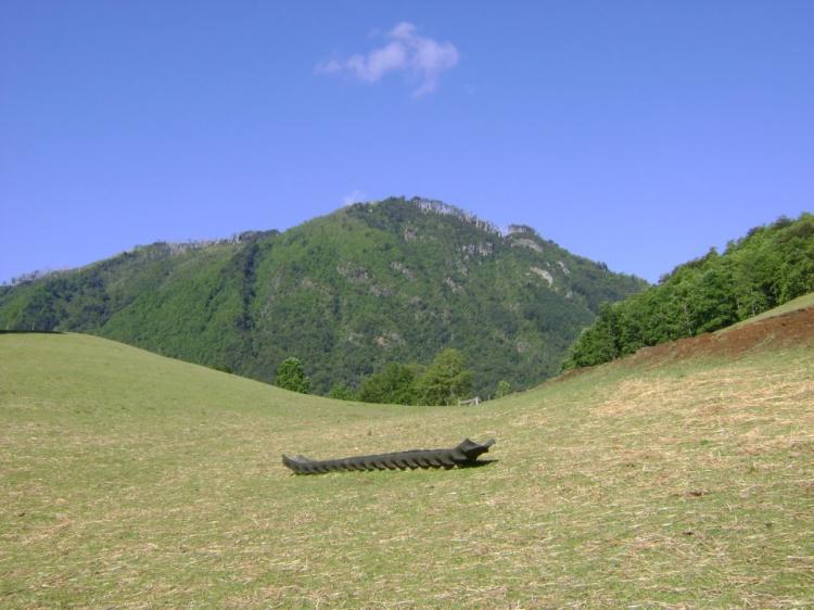 Fotografía 4 de Agro Camping La Quinta (Turismo Kurralo) en Curarrehue, Araucania