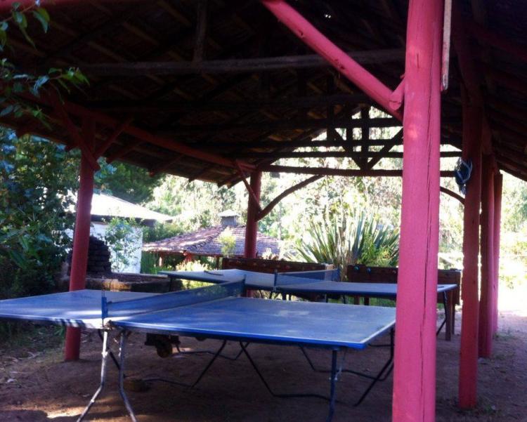 Fotografía 3 de Agroturismo Entre Bosques en Tome, Bio Bio
